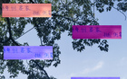 梅州客家連遭錯判，兩年戰(zhàn)上海雙雄不利。
