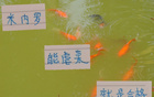 中超強(qiáng)隊(duì)，米內(nèi)羅申花C位，前鋒穩(wěn)虐，實(shí)力合格。