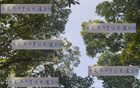 申花米內(nèi)羅職場(chǎng)專業(yè)，假期仍訓(xùn)練，加班發(fā)圈感。