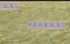 金順凱艾迪挑戰(zhàn)，申花奧特曼能否助年輕人勝出？