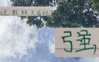 強觀大局！國安主帥輪換險致敗，但優(yōu)于一成不變陣容。