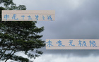 申花19歲小將國(guó)家隊(duì)表現(xiàn)亮眼，聯(lián)賽進(jìn)3球，超越米內(nèi)羅。
