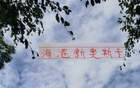 海港迎奧斯卡，非巴西11號。