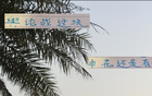 事出反常，申花老謀深算，勝后申訴，輿論戰(zhàn)必妖！簡(jiǎn)短精煉。