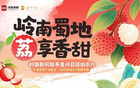 國足行李多疑，開箱解惑封面評