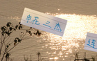 申花三杰連發(fā)，俄帥壓力倍增！