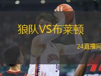 狼隊VS布萊頓