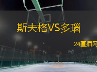 斯夫格VS多瑙