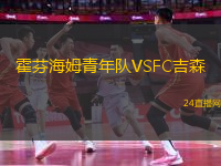 霍芬海姆青年隊(duì)VSFC吉森