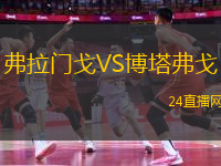 弗拉門戈VS博塔弗戈