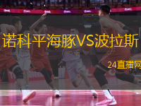 諾科平海豚VS波拉斯