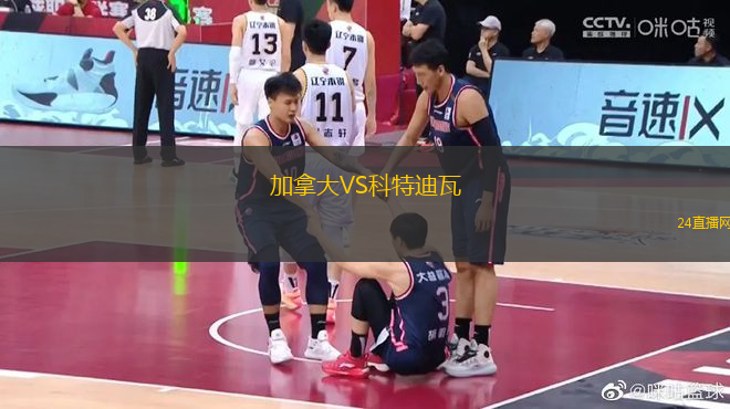 加拿大VS科特迪瓦