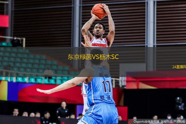 東京綠茵VS櫪木SC