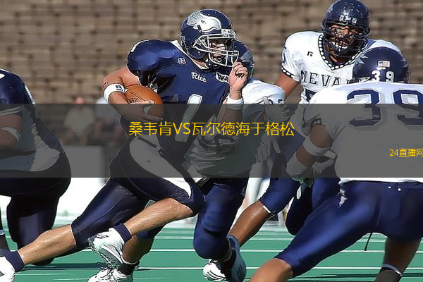 桑韋肯VS瓦爾德海于格松