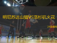 明尼蘇達(dá)山貓VS洛杉磯火花
