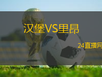 漢堡VS里昂